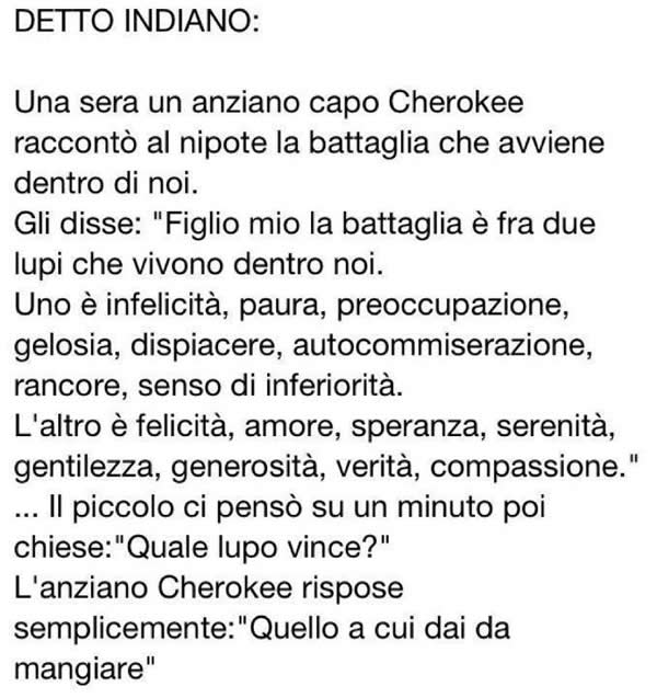 battaglia_interiore_-_vince_il_lupo_a_cui_dai_da_mangiare.jpg