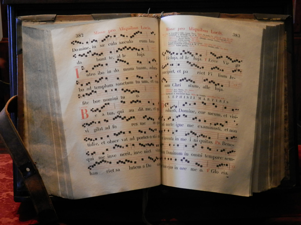 bibioteca_libro_musica_2.jpg bibioteca_libro_musica_2.jpg