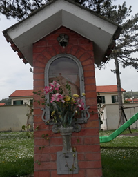 celletta.jpg celletta.jpg