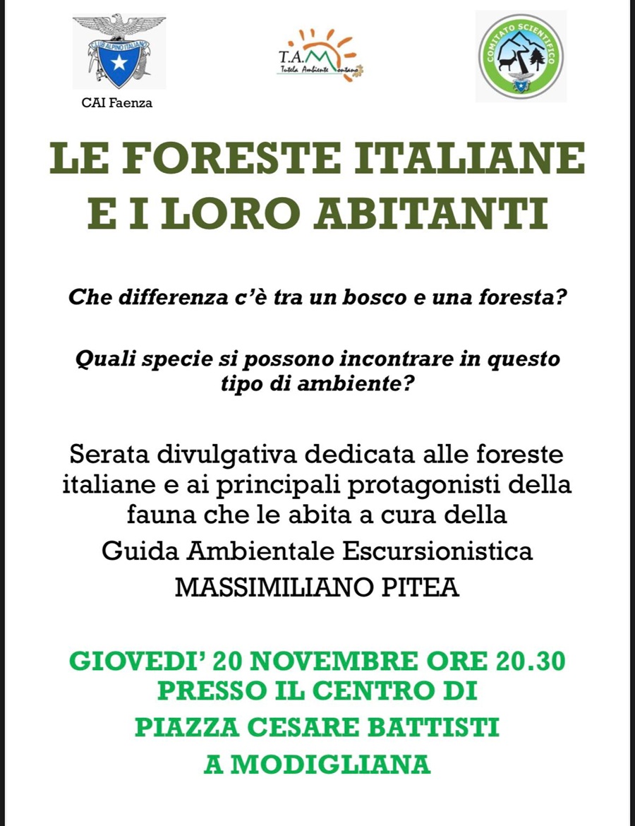 foreste_italiane.jpg