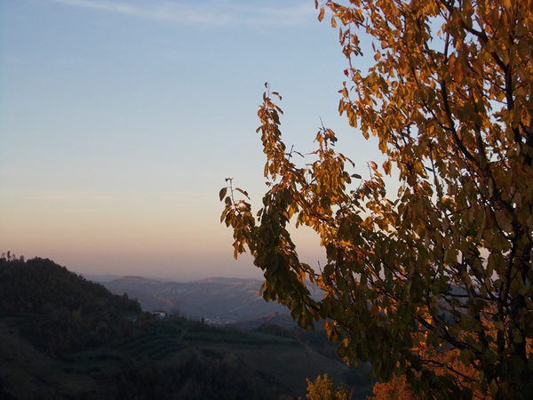 Sguardi di bellezza