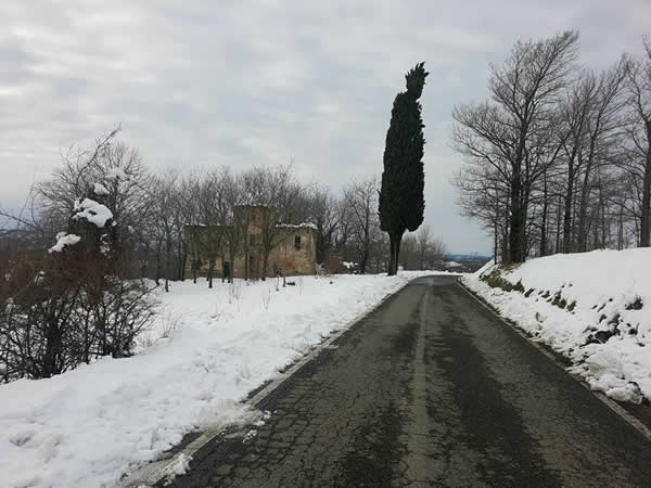 518.jpg