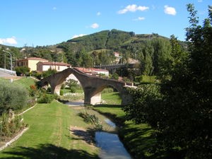 ponte_san_donato.jpg