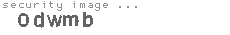 security code