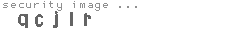 security code