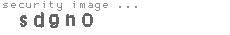 security code