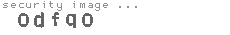 security code