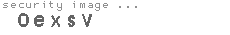 security code
