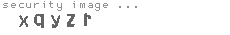 security code