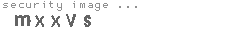 security code
