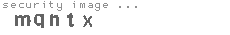security code