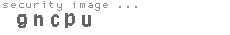 security code