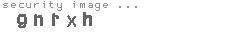 security code