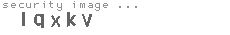 security code