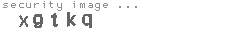 security code
