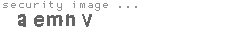 security code