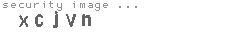 security code