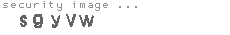 security code
