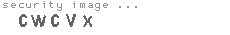 security code