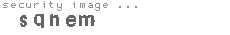security code