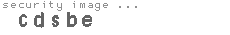 security code