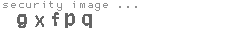 security code