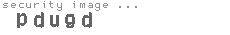 security code