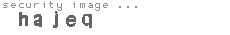 security code