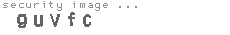 security code