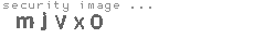 security code