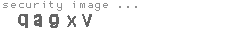 security code
