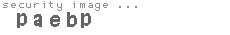 security code