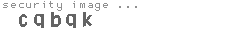 security code