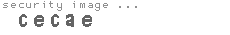 security code